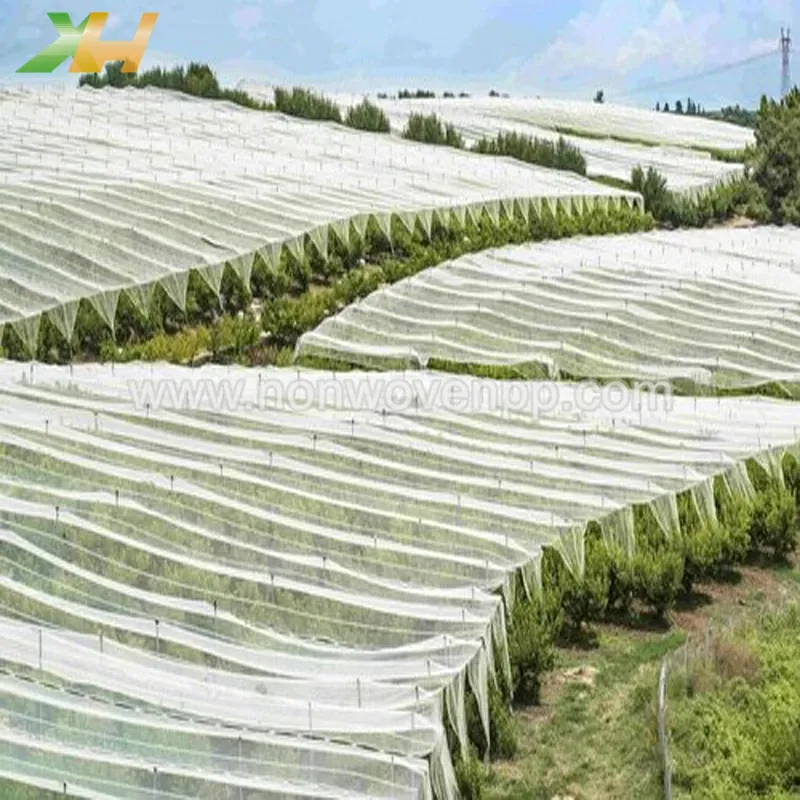 non woven Plant cover